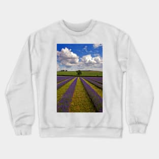 Lavender Field Purple Flowers Cotswolds England Crewneck Sweatshirt